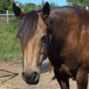 Meet your Posher, Kim